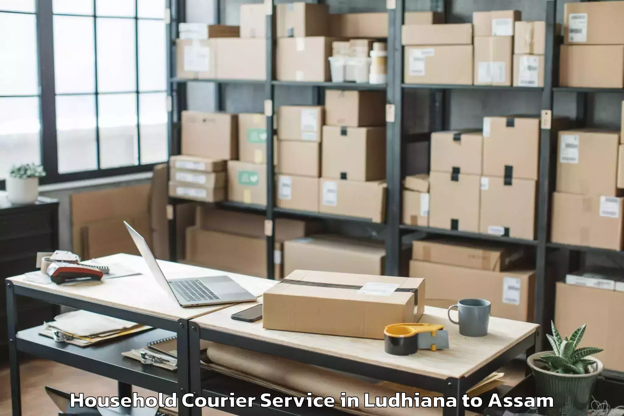 Reliable Ludhiana to Badarpur Karimganj Household Courier